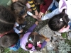 2015-cocuk-doga-etkinlikleri (3).jpg